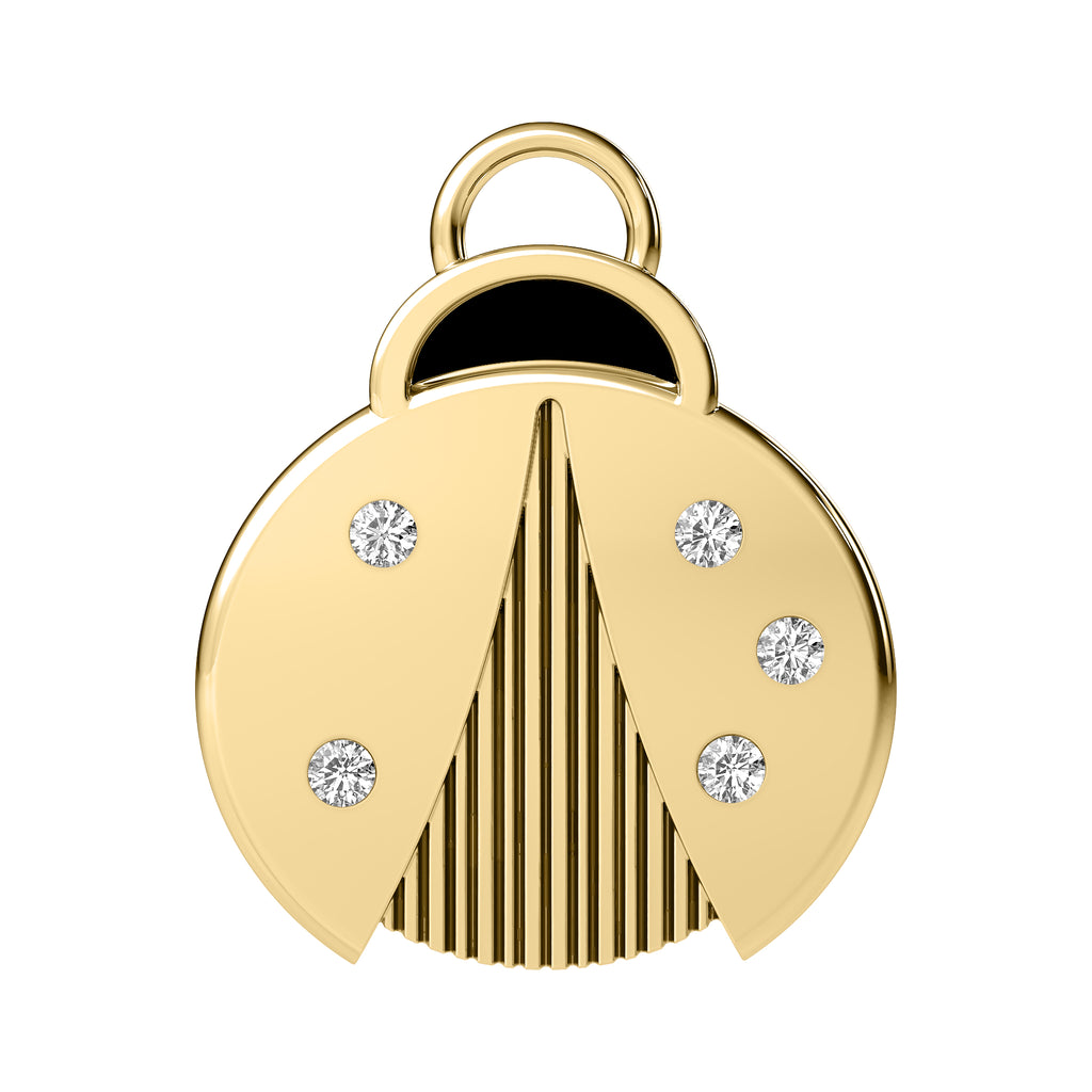 Ladybug Charm